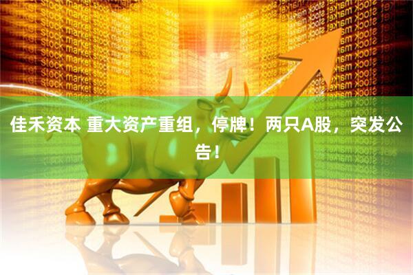 佳禾资本 重大资产重组，停牌！两只A股，突发公告！