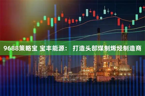 9688策略宝 宝丰能源： 打造头部煤制烯烃制造商