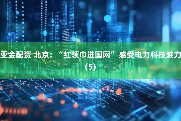 亚金配资 北京：“红领巾进国网” 感受电力科技魅力(5)