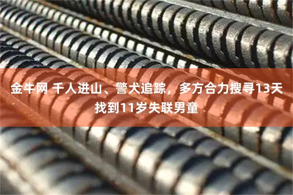 金牛网 千人进山、警犬追踪，多方合力搜寻13天找到11岁失联男童