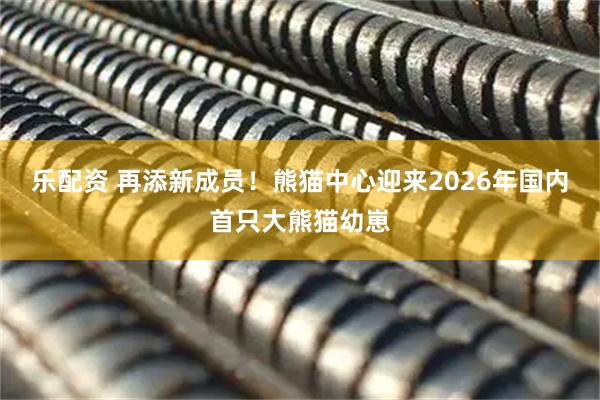 乐配资 再添新成员！熊猫中心迎来2026年国内首只大熊猫幼崽